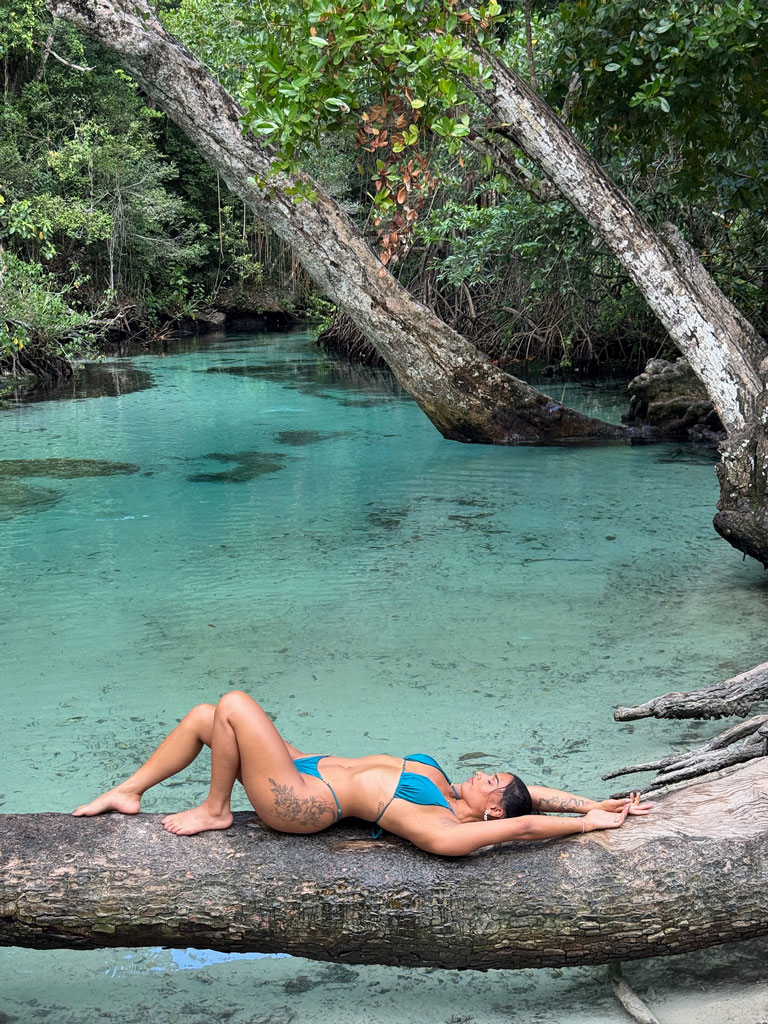 Palm-Paradise---Dpminican-Republic---2025---3