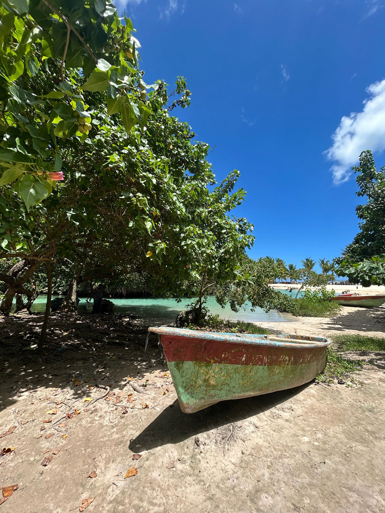 Palm-Paradise---Dpminican-Republic---2025---4